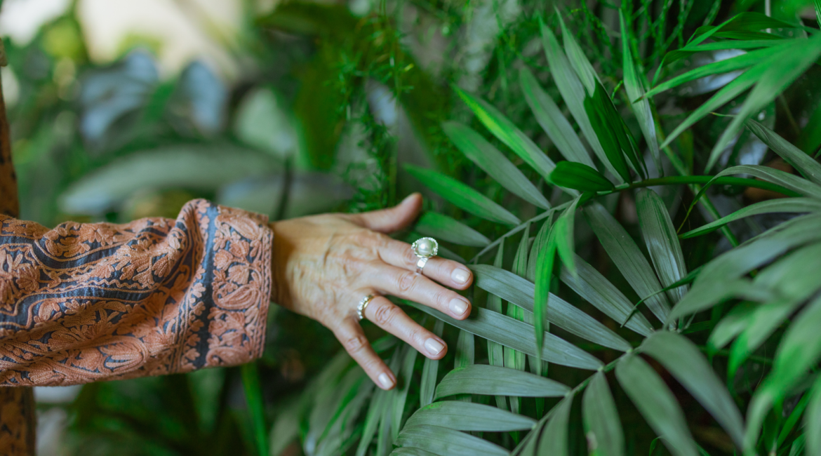 Jardim Sensorial - Foto Pexels