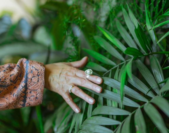 Jardim Sensorial - Foto Pexels