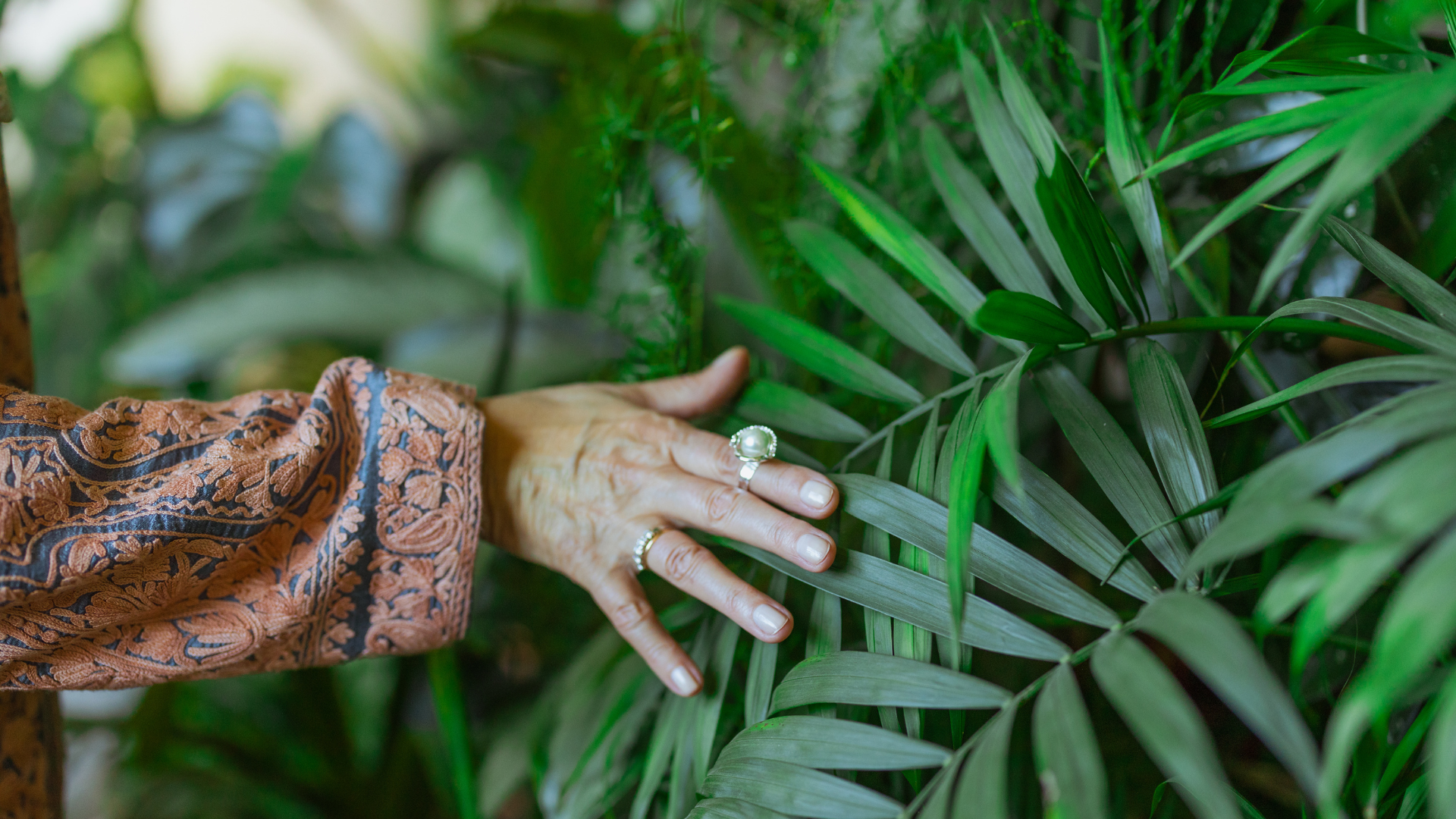Jardins Sensoriais: Inclusão, Educação e Bem-Estar Através da Natureza